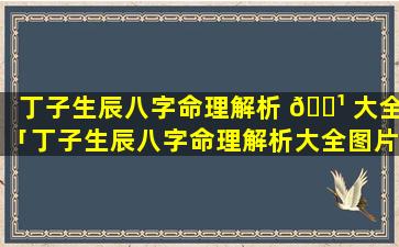 丁子生辰八字命理解析 🌹 大全「丁子生辰八字命理解析大全图片」